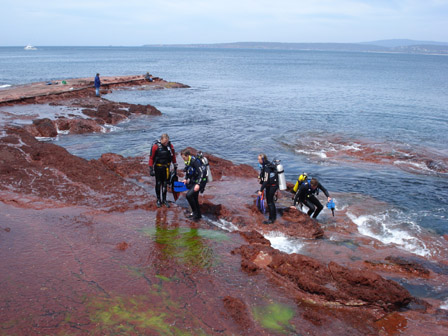 wharf divers